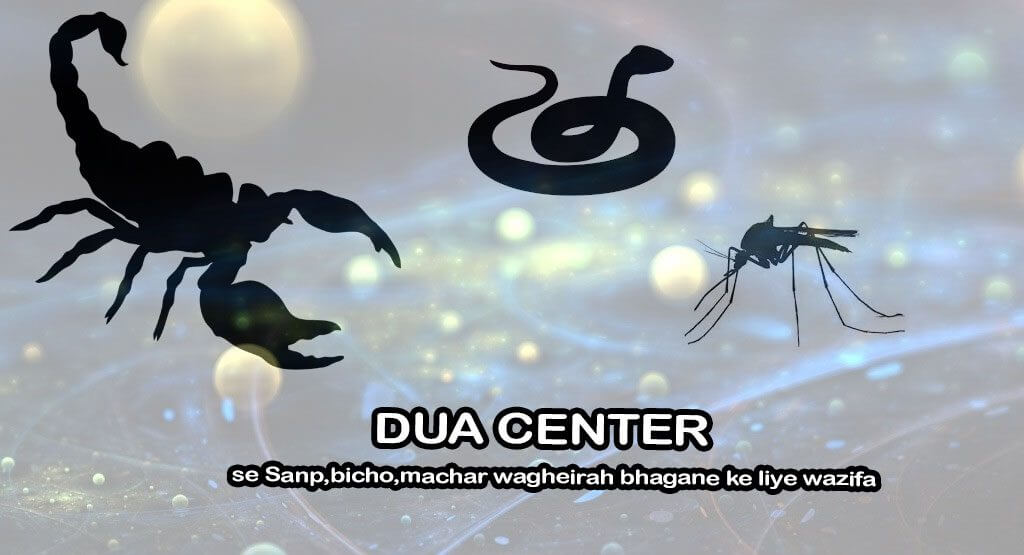 Dua to get rid of snakes, scorpions, mosquitoes Dua to keep snakes